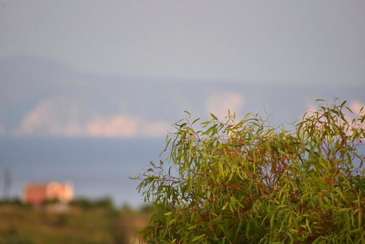 ליקסורי Anemomylos Apartments מראה חיצוני תמונה